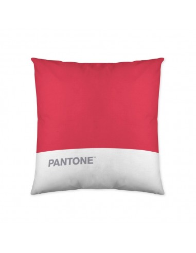 Cushion cover Pantone Stripes (50 x...