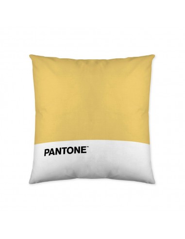 Cushion cover Pantone Talisman (50 x...