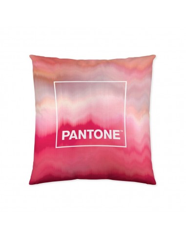 Cushion cover Pantone Totem (50 x 50 cm)