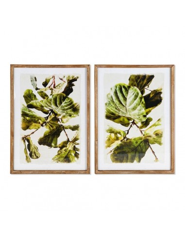 Cuadro DKD Home Decor Plants Hoja de...