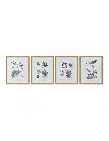 Quadro DKD Home Decor S3013715 Tela...