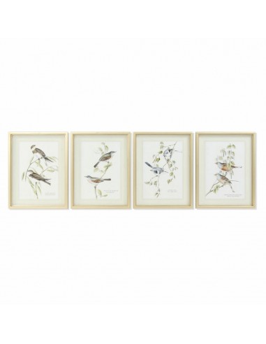 Cadre DKD Home Decor S3017833 Oiseaux...