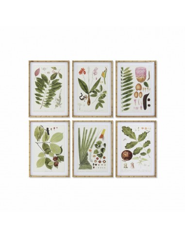 Cadre DKD Home Decor S3017837 Fleurs...