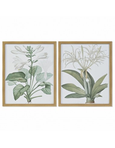 Cadre DKD Home Decor Fleurs (43 x 3 x...