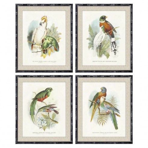 Cadre DKD Home Decor Oiseaux Moderne...