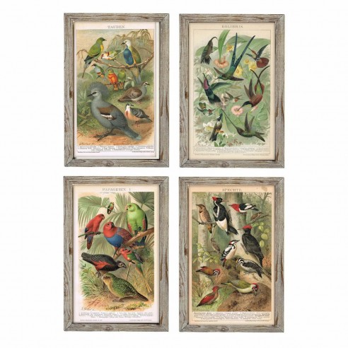 Cadre DKD Home Decor Oiseaux (45 x 2...