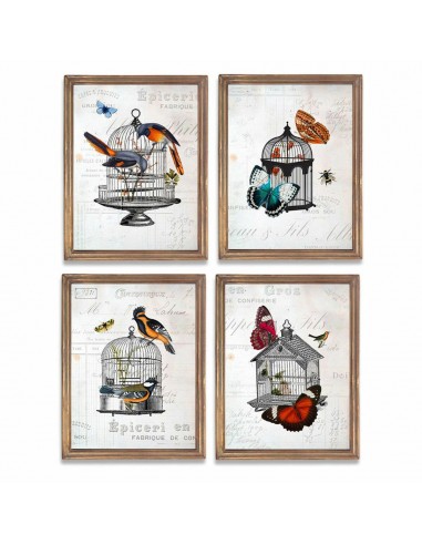 Quadro DKD Home Decor Gabbia (34 x 2...