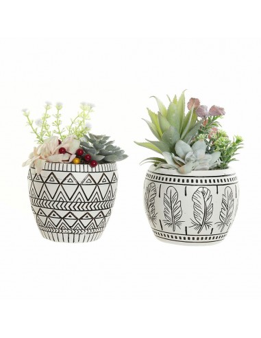 Decoratieve plant DKD Home Decor Hars...