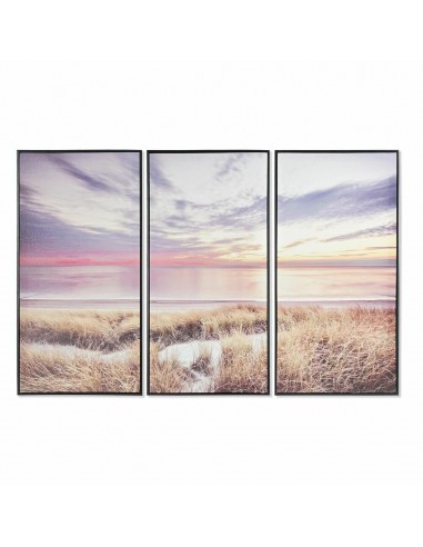 Set van 3 Schilderijen DKD Home Decor...