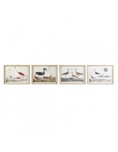 Cadre DKD Home Decor Oiseaux Moderne...