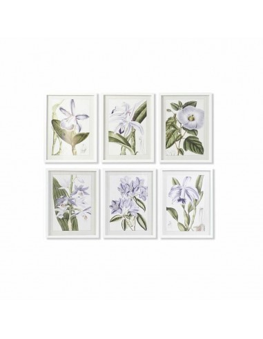 Bild DKD Home Decor Blomster (40 x 2...