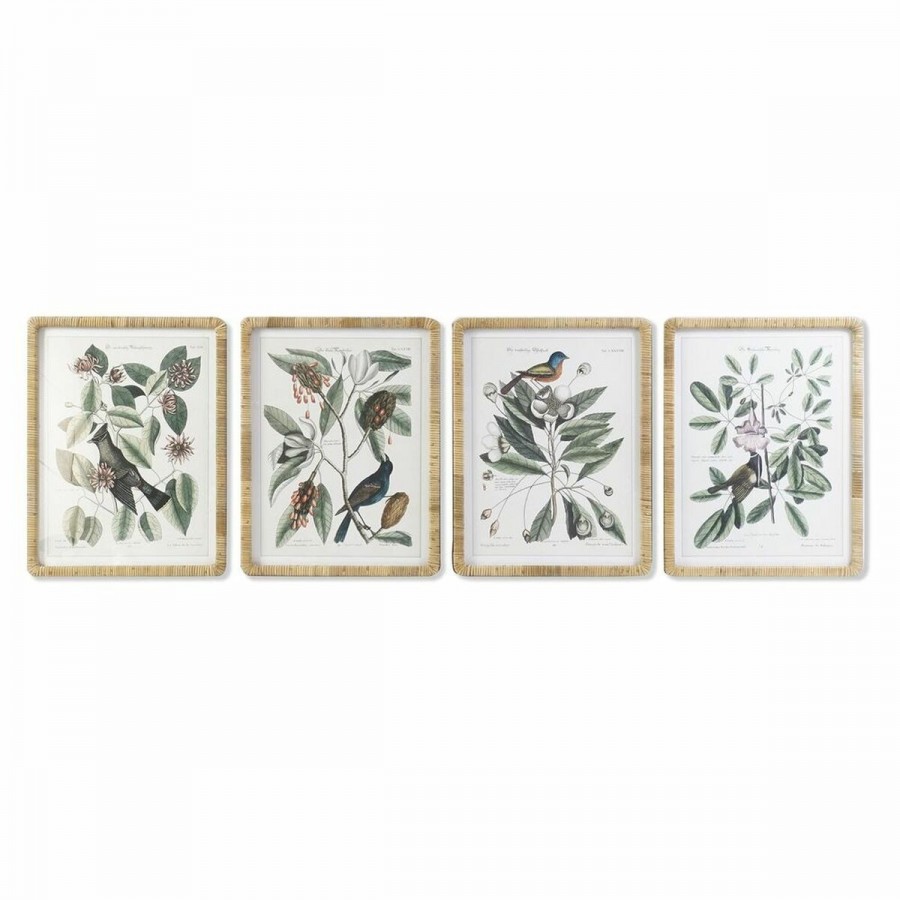 Quadro DKD Home Decor Piante...