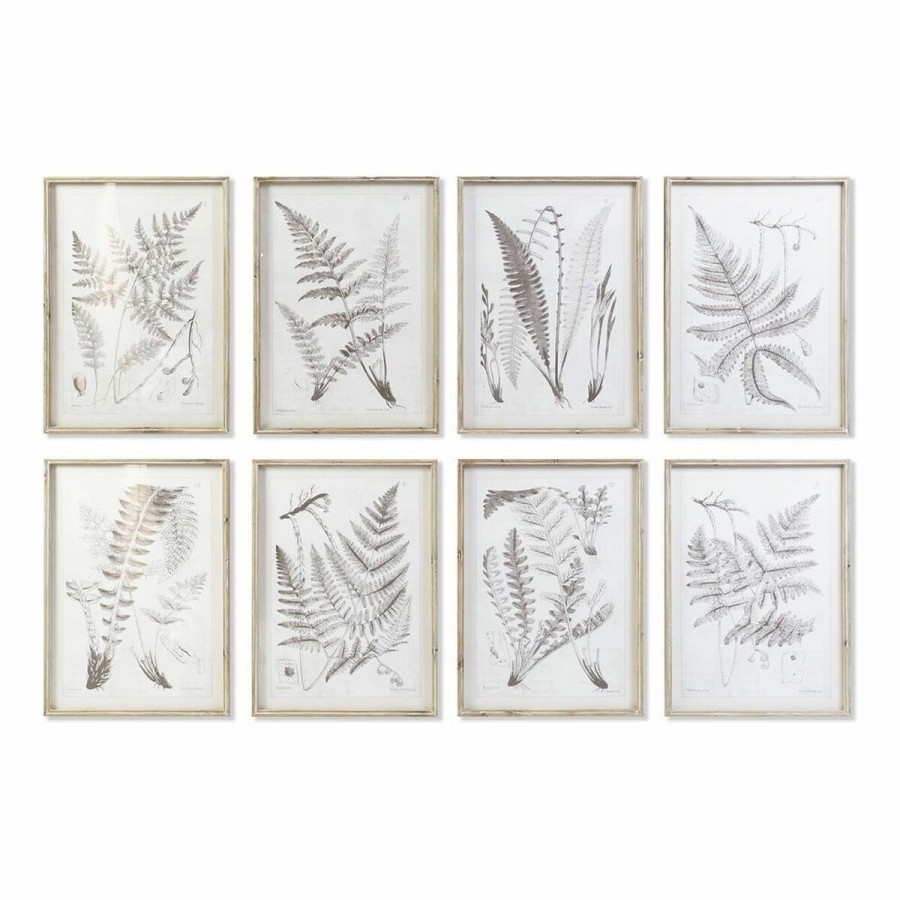 Cadre DKD Home Decor Moderne Plantes...