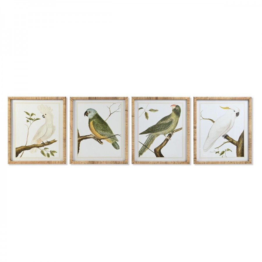 Cadre DKD Home Decor Tropical Oiseaux...