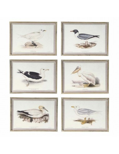 Bild DKD Home Decor Vögel (70 x 2,5 x...