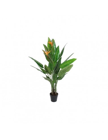 Plante décorative DKD Home Decor PVC...