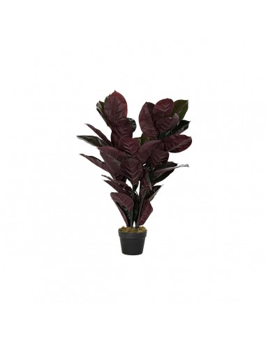 Decoratieve plant DKD Home Decor...