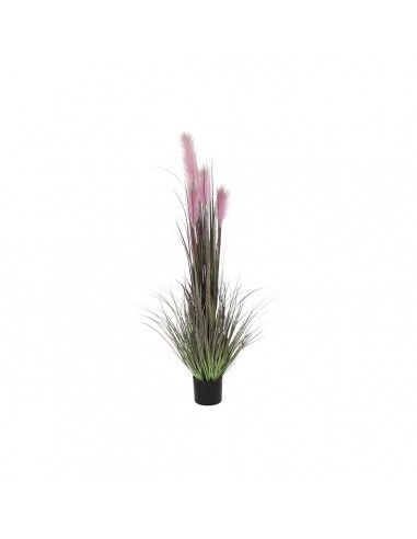 Decorative Plant DKD Home Decor Pink...