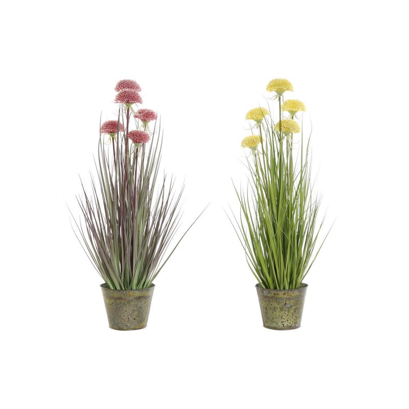 Decoratieve plant DKD Home Decor Roze...