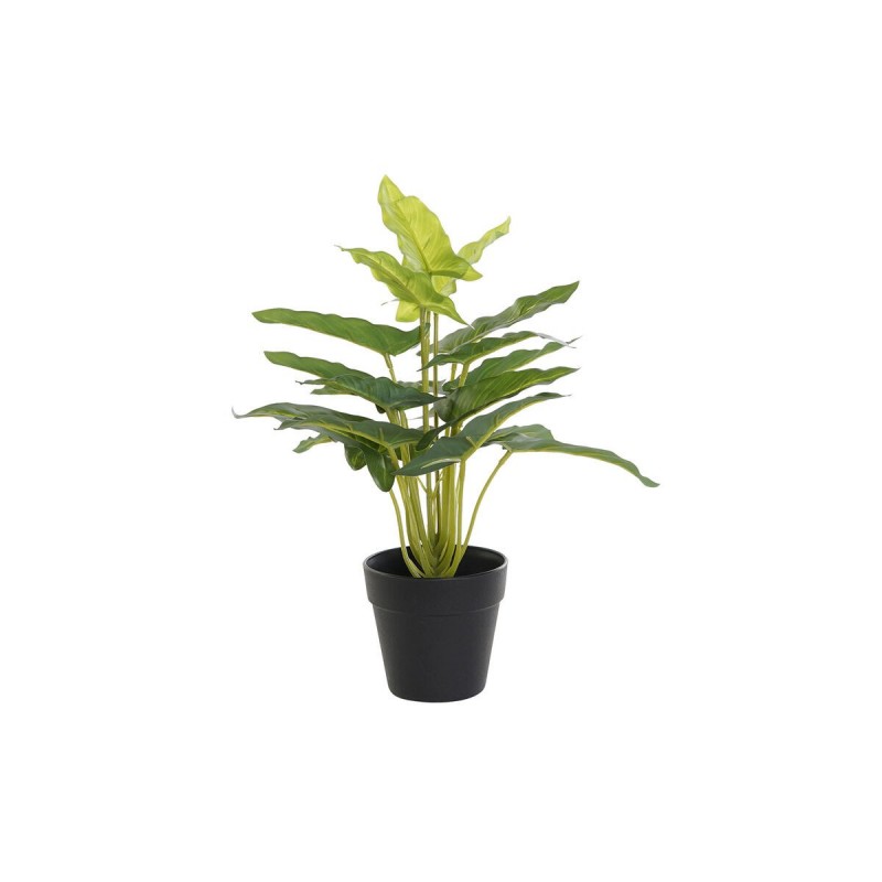 Decorative Plant DKD Home Decor Black...