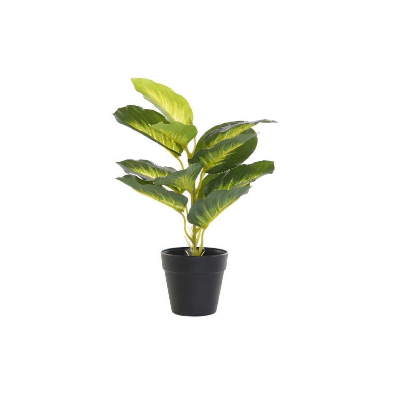 Decoratieve plant DKD Home Decor...