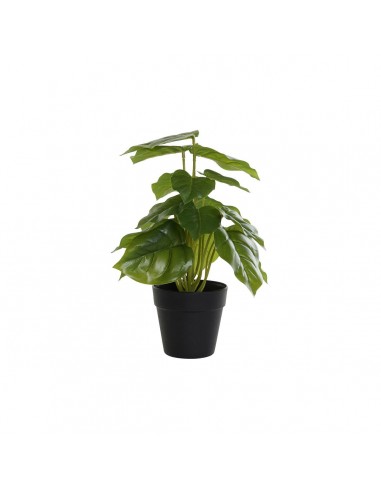 Decorative Plant DKD Home Decor Black...