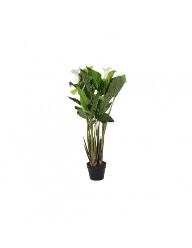 Decorative Plant DKD Home Decor White...