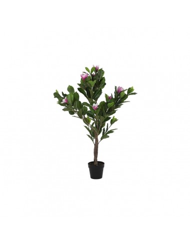 Decorative Plant DKD Home Decor Pink...