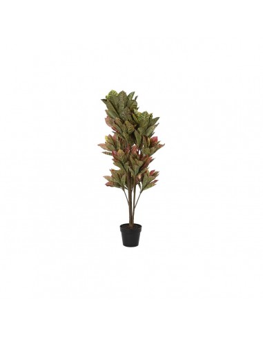 Decorative Plant DKD Home Decor Brown...