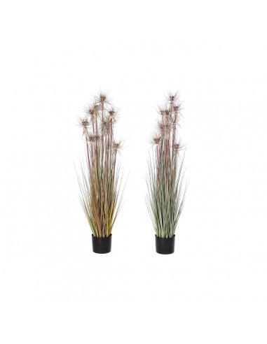 Decorative Plant DKD Home Decor Brown...