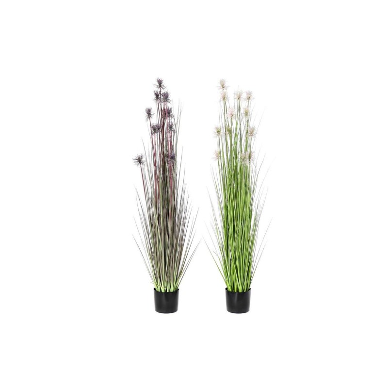 Plante décorative DKD Home Decor Lila...