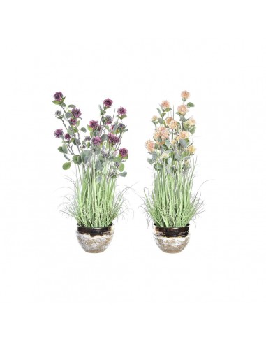 Decoratieve plant DKD Home Decor Vaas...