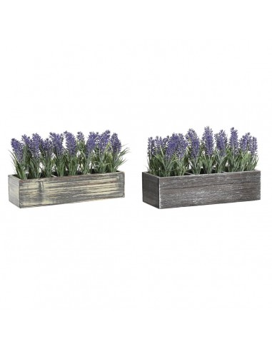 Decoratieve plant DKD Home Decor Hout...