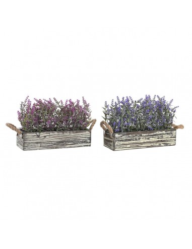 Decoratieve plant DKD Home Decor Hout...