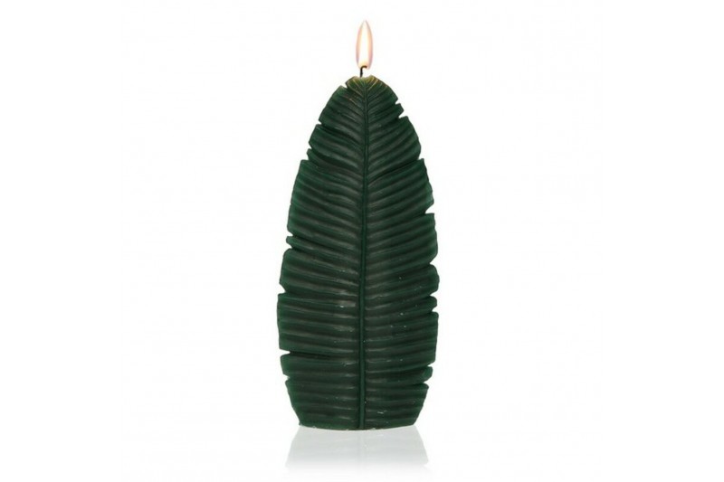 Candle Versa Rattan Paraffin (4,2 x...